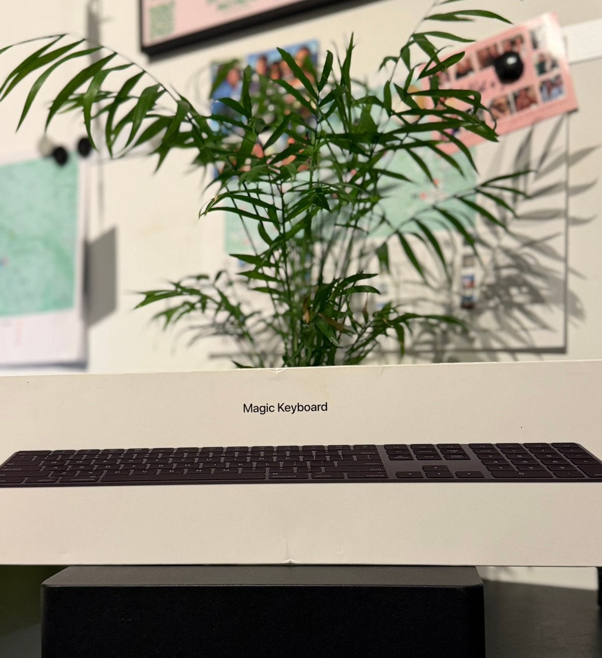 Apple Magic Keyboard Grey Space, Enlèvement, Azerty, Neuf, Sans fil