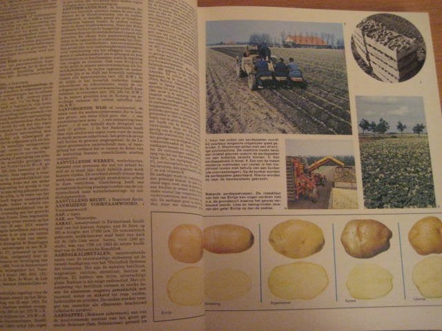 Nieuwe geïllustreerde Encyclopedie – Lekturama – deel 1, Boeken, Encyclopedieën, Ophalen of Verzenden, Zo goed als nieuw, Los deel