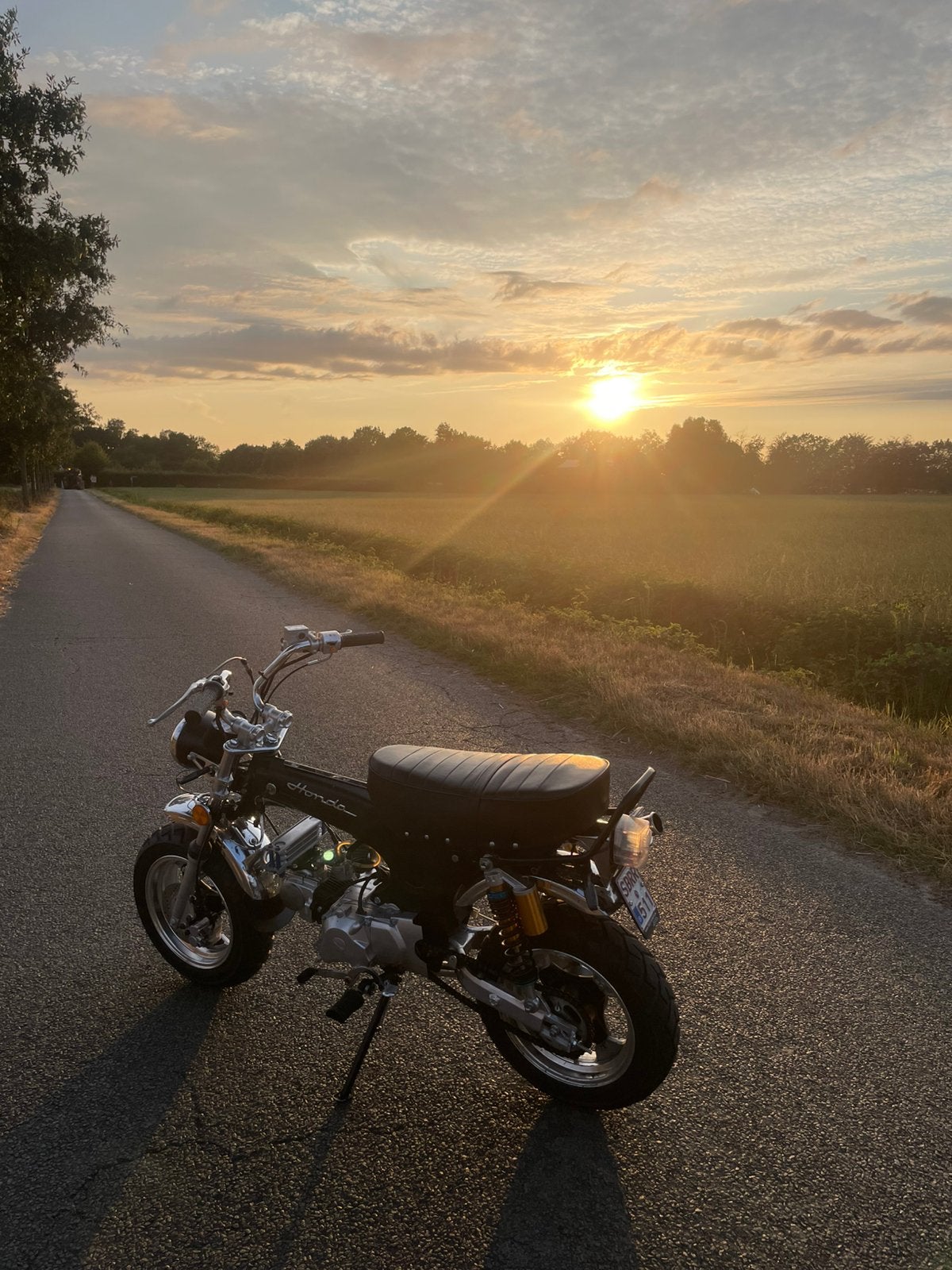 Dax 50cc, 4 vitesses, Comme neuf, Classe B (45 km/h), Enlèvement
