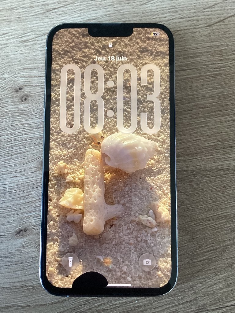 iPhone 13 Pro Max - à reparer, Télécoms, Téléphonie mobile | Apple iPhone, 128 GB, IPhone 13 Pro Max, Utilisé, Sans abonnement