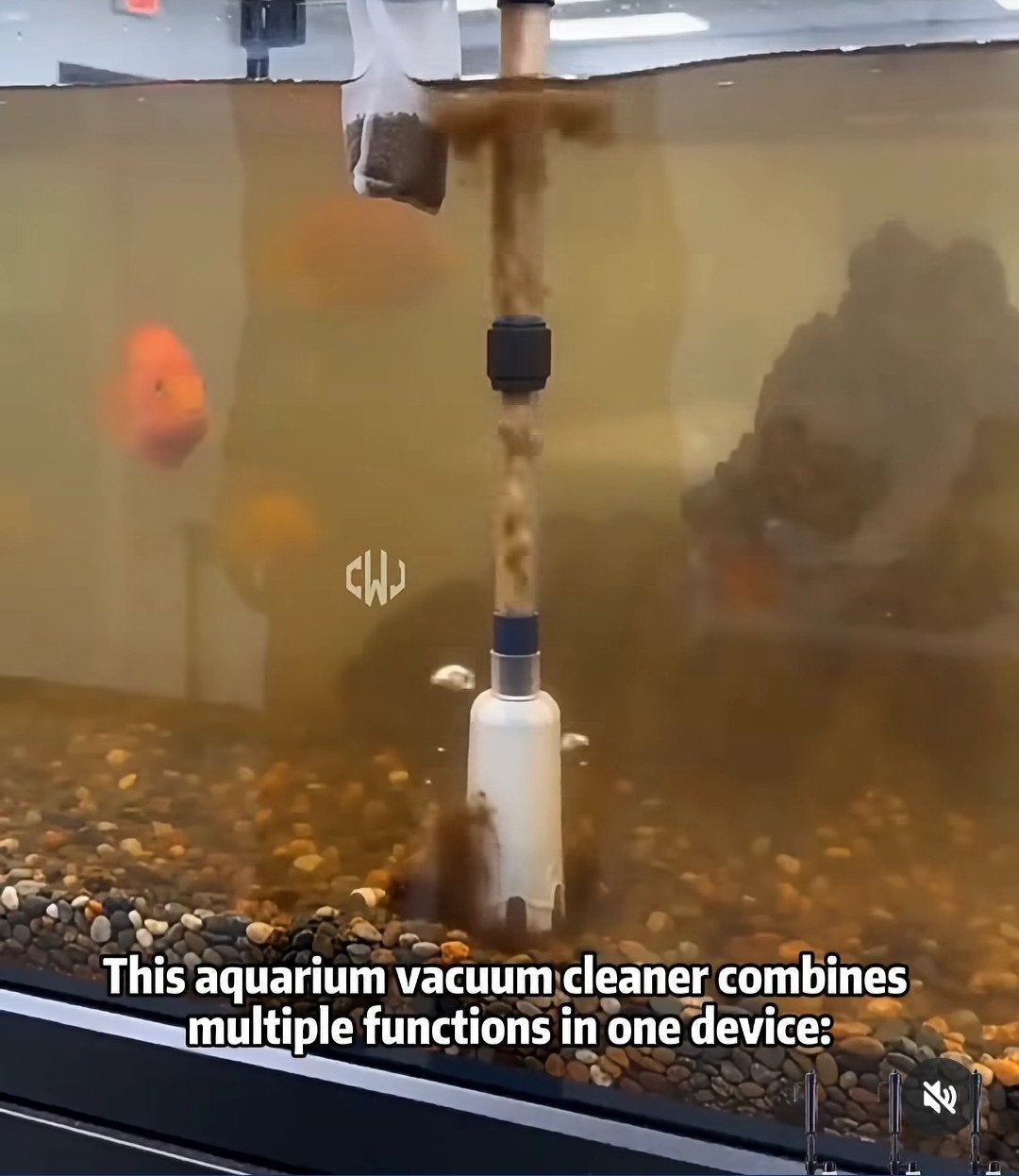 aquarium stofzuiger, Ophalen of Verzenden
