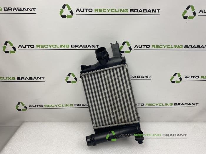 Intercooler van een Renault Clio, Auto-onderdelen, Gebruikt, -, -, Ophalen of Verzenden