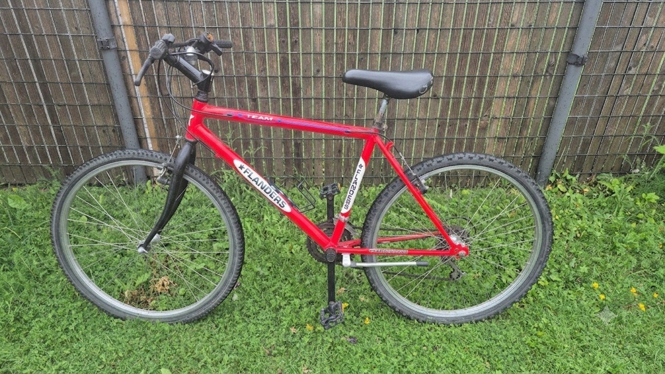 Stevige Flanders mountainbike, Enlèvement, Suspension