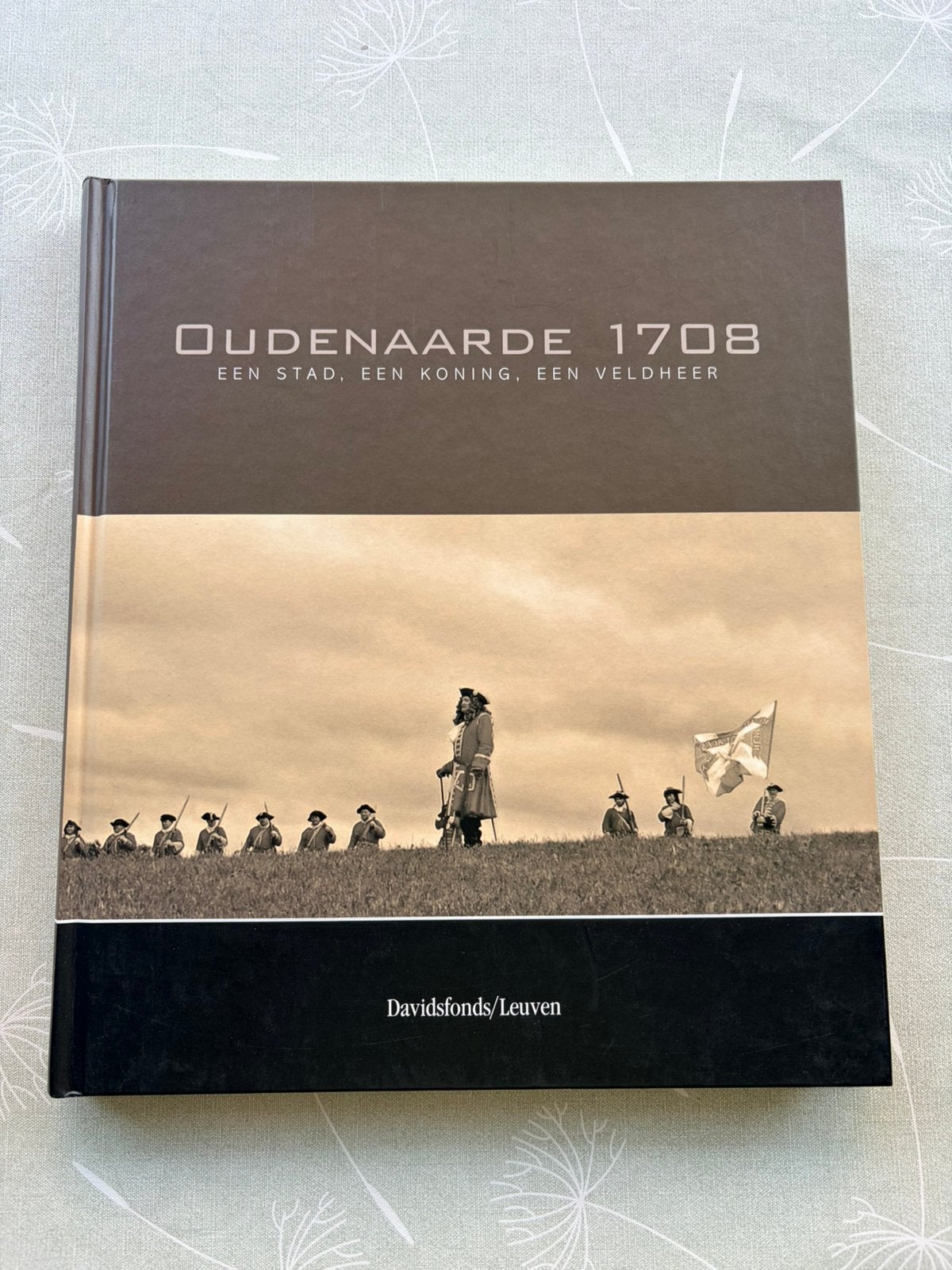 Boek Oudenaarde 1708 Een Stad, Een Koning, Een Veldheer, Ophalen of Verzenden, 17e en 18e eeuw, Zo goed als nieuw, Pieter-Jan Lachaert