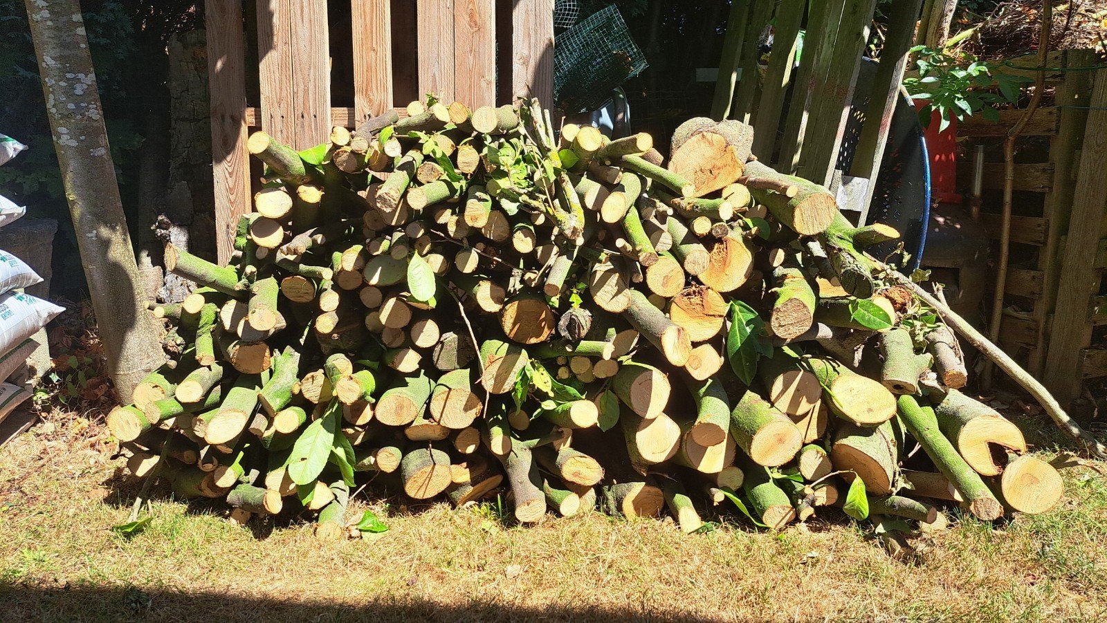 Bois de chauffage gratuit, Enlèvement