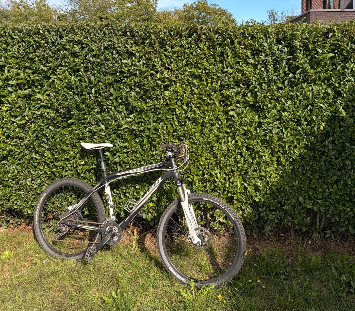 Mountainbike  heren, Fietsen en Brommers, Ophalen, Zo goed als nieuw