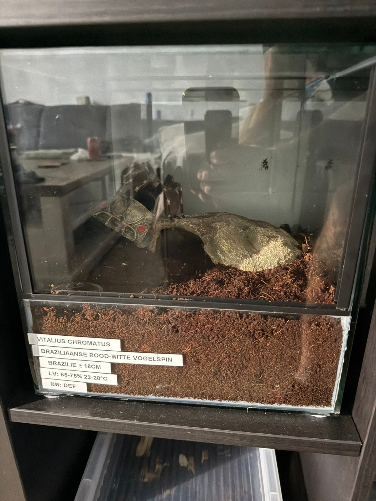 Vous recherchez des terrariums en bon état ! ?, Animaux & Accessoires, Autres espèces
