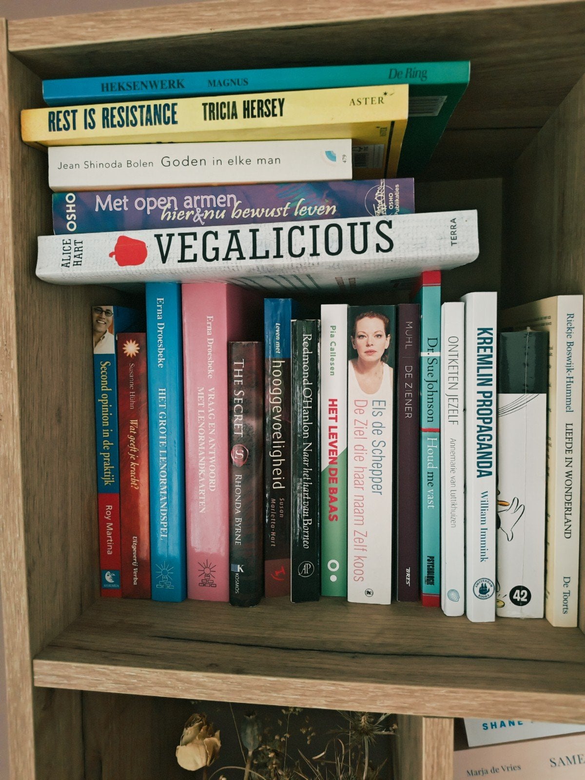 verschillende spirituele of psychologieboeken te koop, Livres, Psychologie, Enlèvement, Jan Geurtz