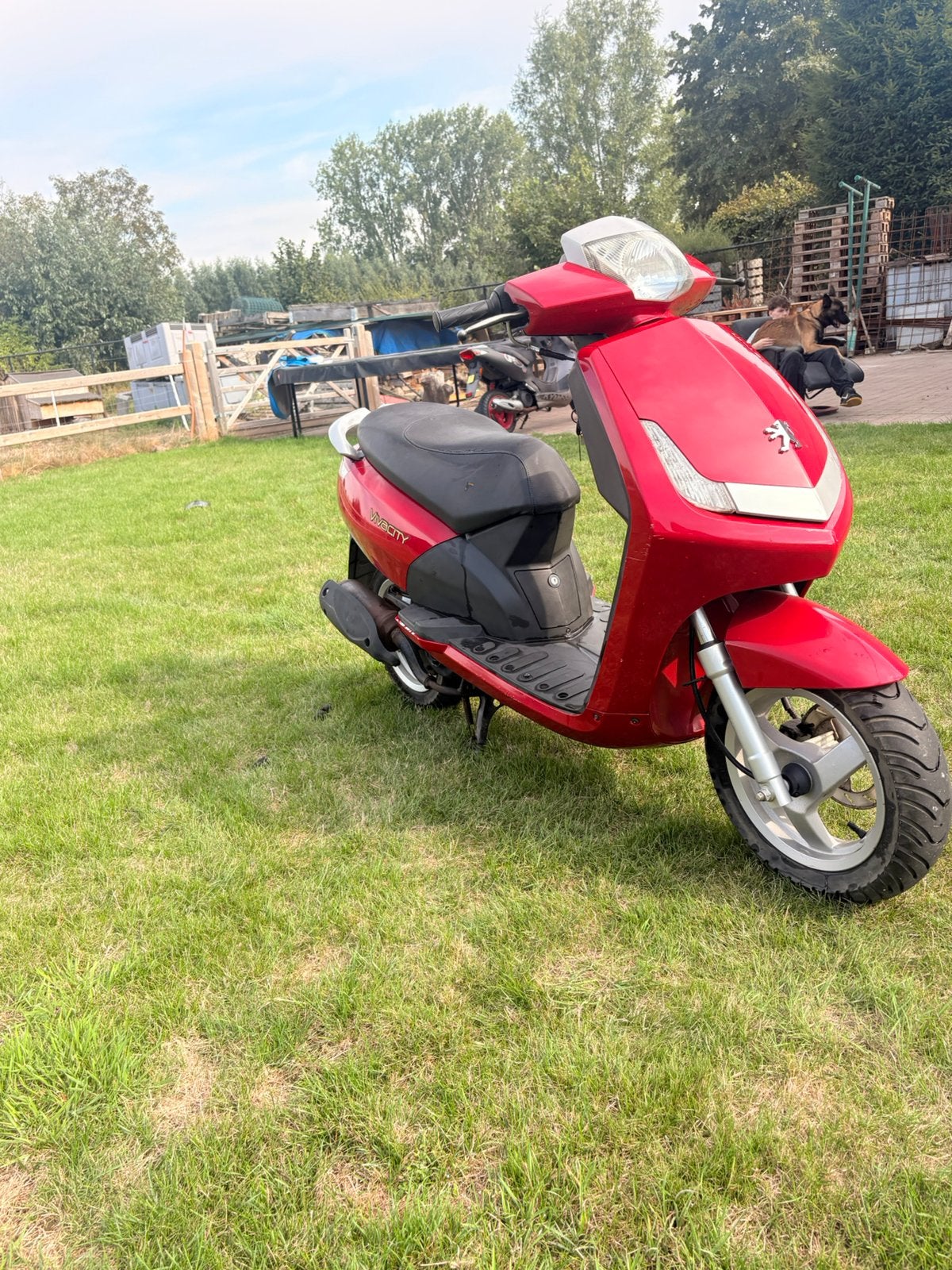 Peogeot vivacity jet in tekoop, 0 vitesses, 49 cm³, Comme neuf, Classe A (25 km/h)