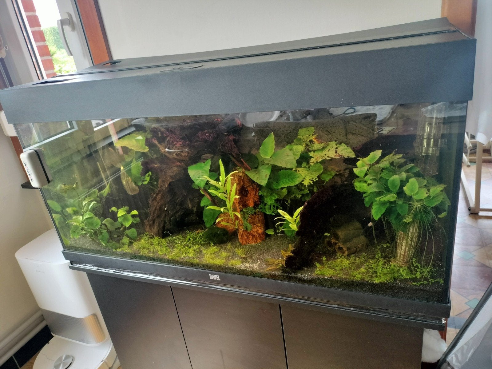 garnalen aquarium 180 liter, Ophalen, Gebruikt, Gevuld zoetwateraquarium, Pomp