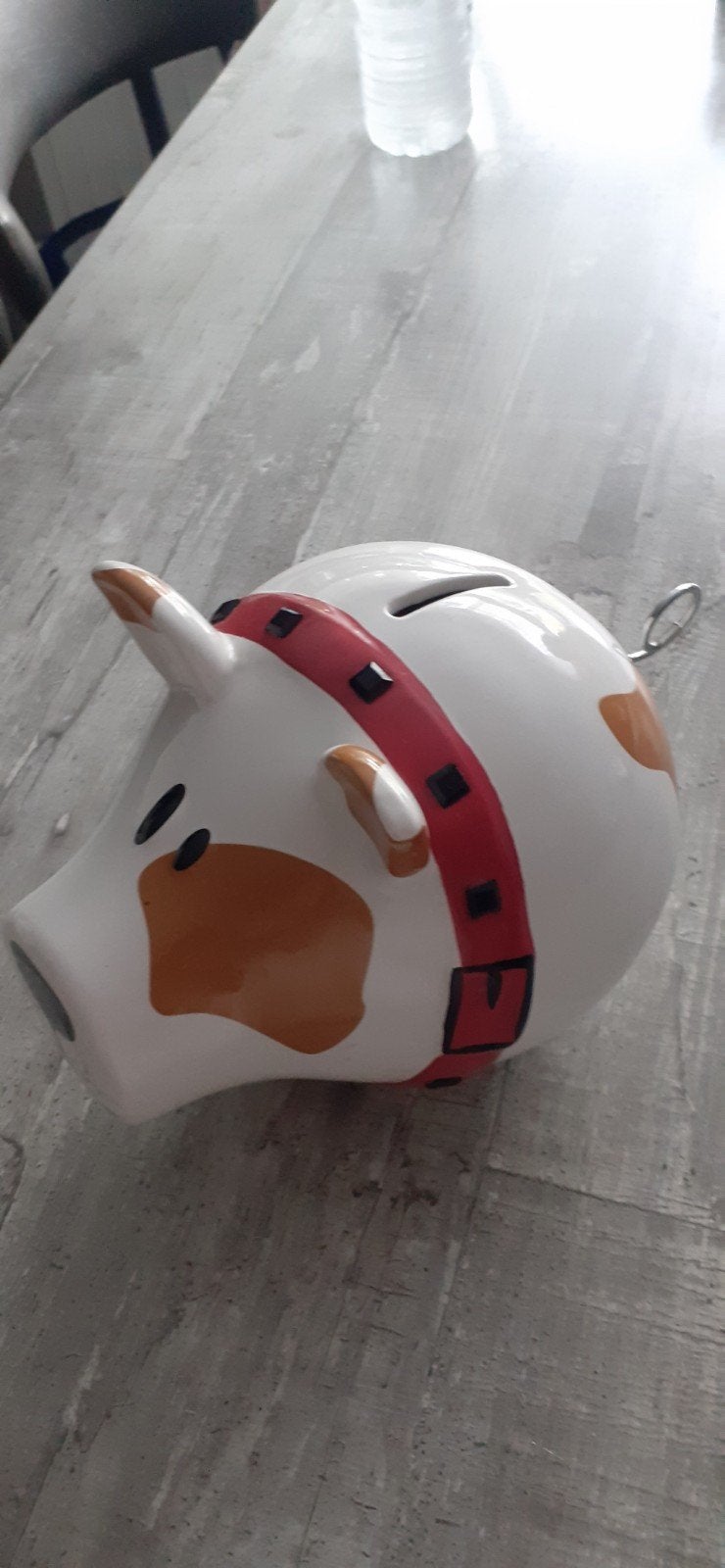 te koop hond Salt&pepper, Ophalen