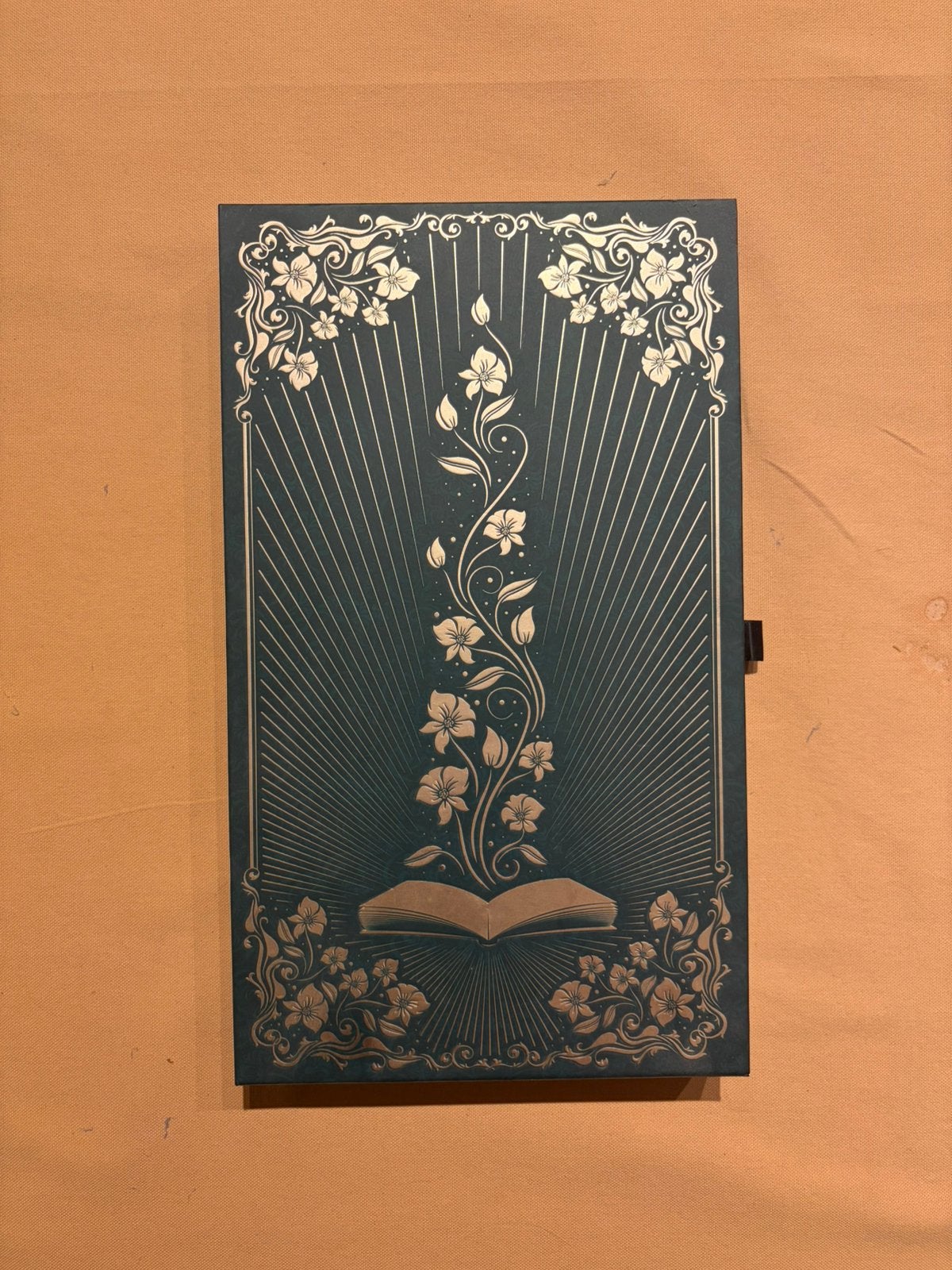 Tomorrowland 2019 The Book of Wisdom Originele Treasure Case, Collections, Enlèvement ou Envoi, Comme neuf