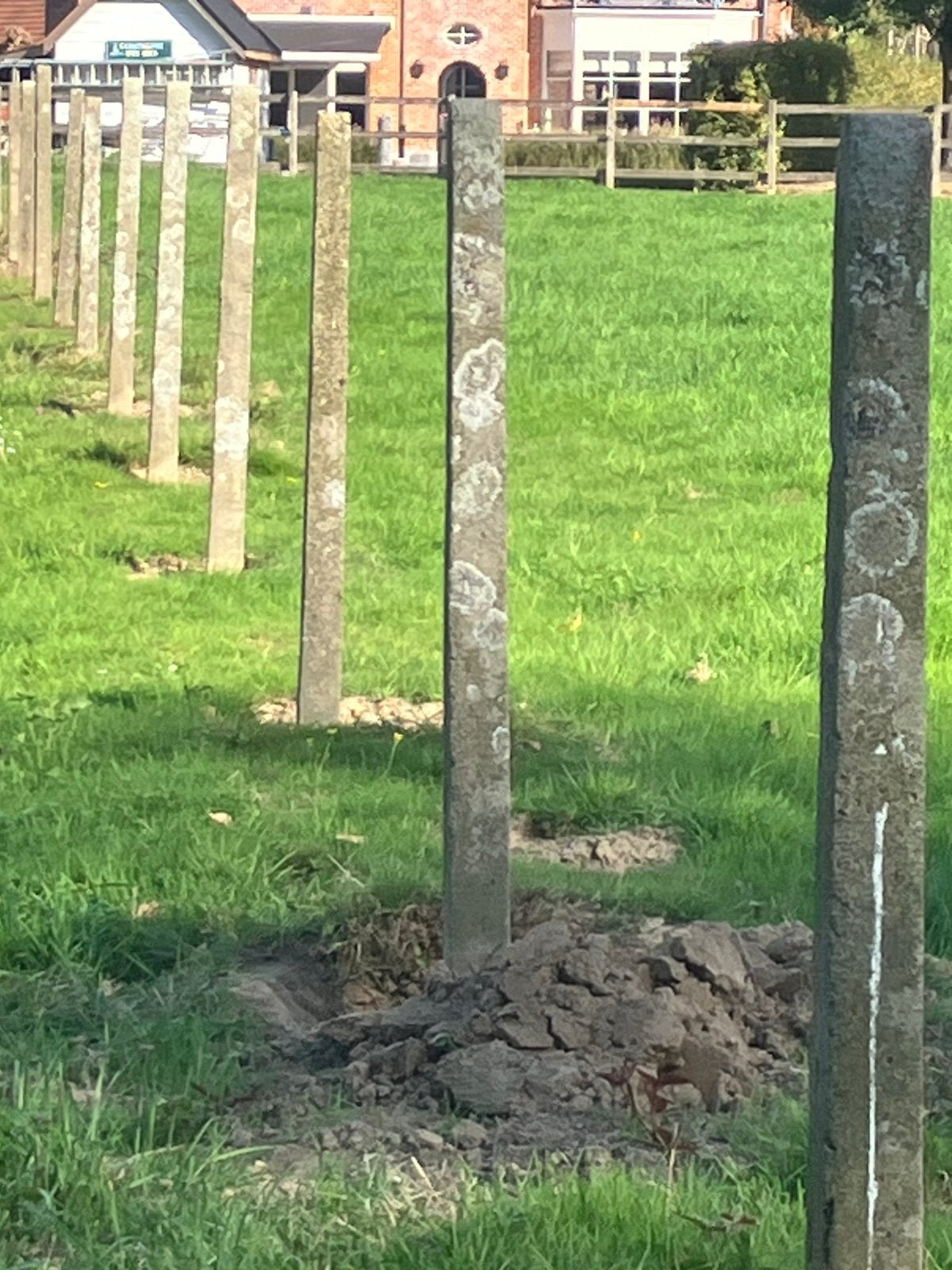 Poteaux en béton de 180 cm GRATUITS, Enlèvement, Utilisé, Poteaux