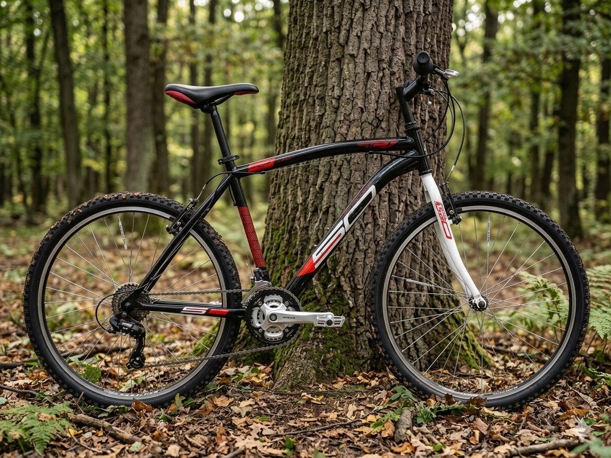 Vélo VTT pour enfants, Enlèvement