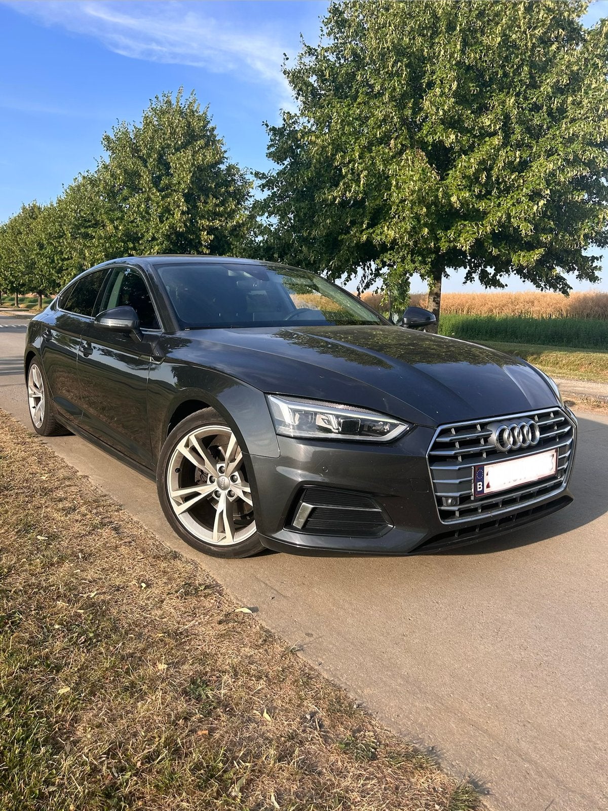 Audi A5, Leder, Particulier, Cruise Control, A5