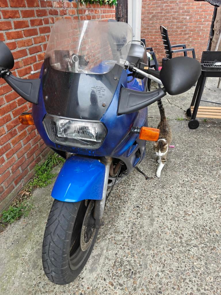 Suzuki gsxf, Particulier