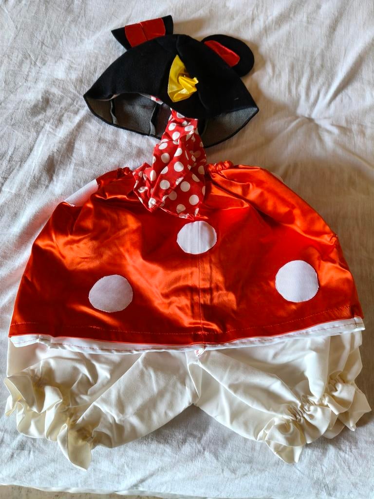Verkleedkleding Disney Mickey mouse, Enlèvement