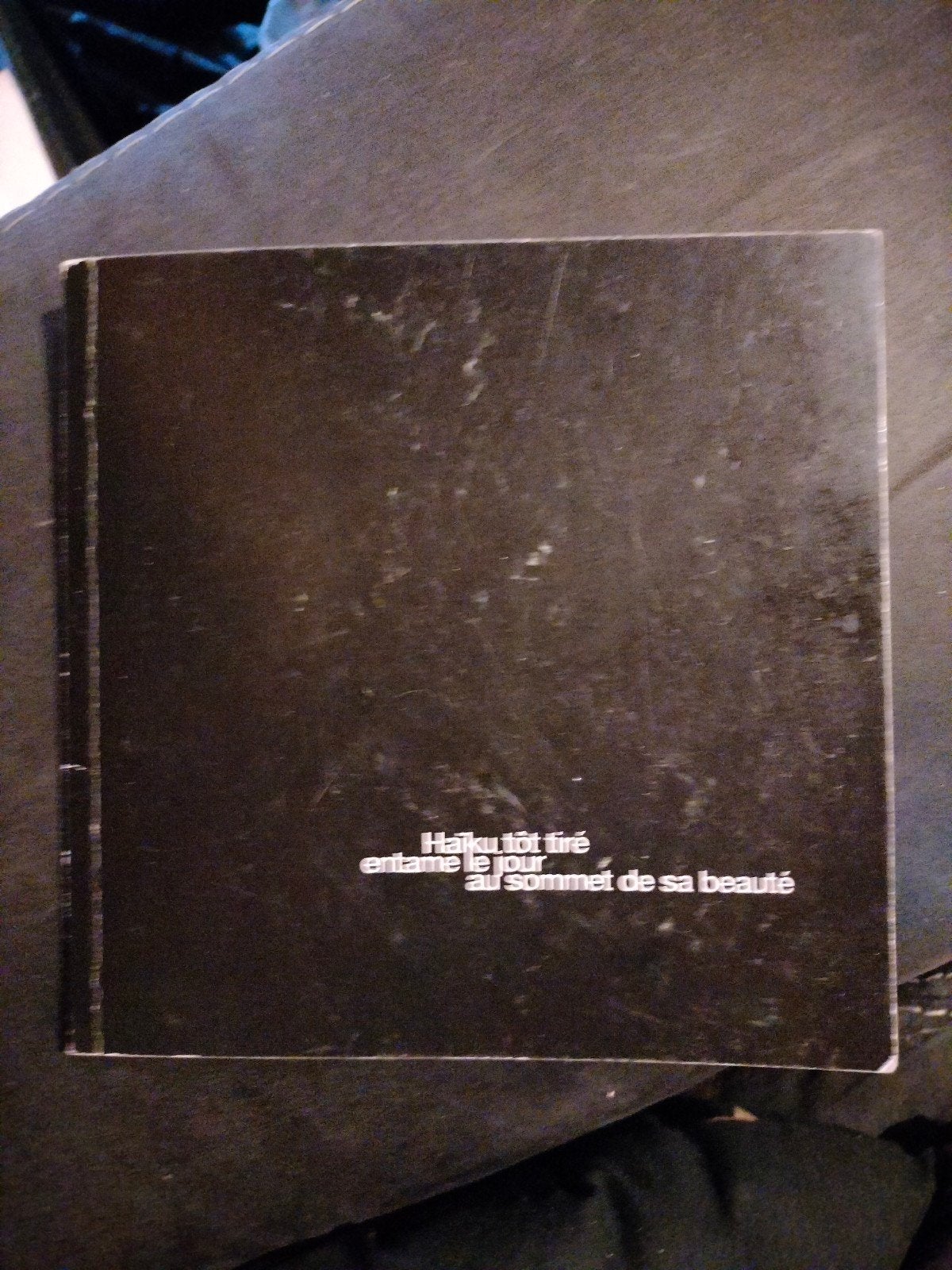 Haïku - Thierry Poucet, Boeken, Catalogussen en Folders, Ophalen of Verzenden, Gelezen, Thierry Poucet