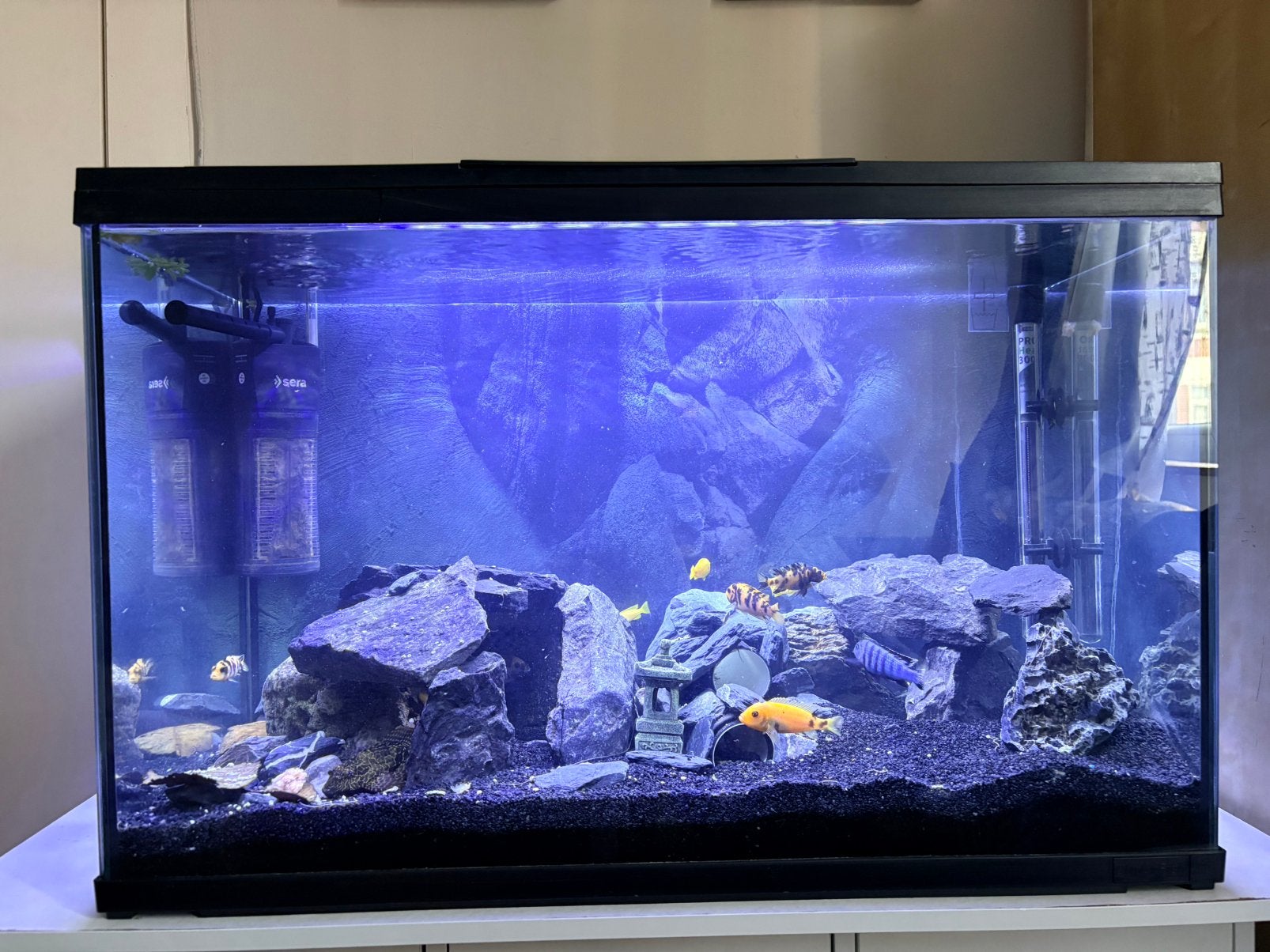 Aquarium 150 L + pompe +lumiere led blanc + armoire aquarium, Animaux & Accessoires, Enlèvement, Pompe, Comme neuf