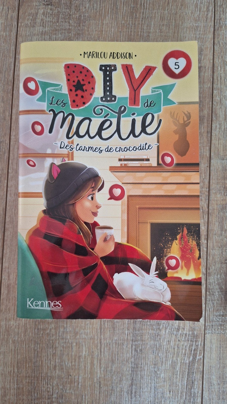 Les diy de Maélie, Ophalen of Verzenden, Gelezen