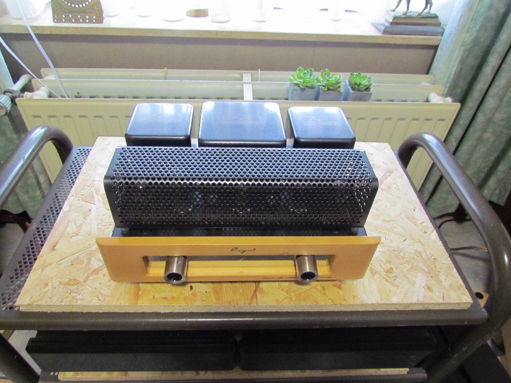 CAYIN MT-12N, Enlèvement, Amplificateur