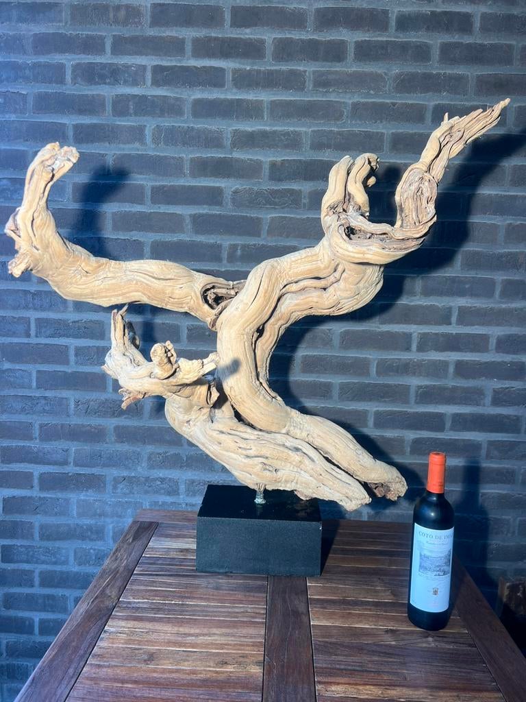 Prachtig en decoratief stuk wortelhout op arduin ., Ophalen