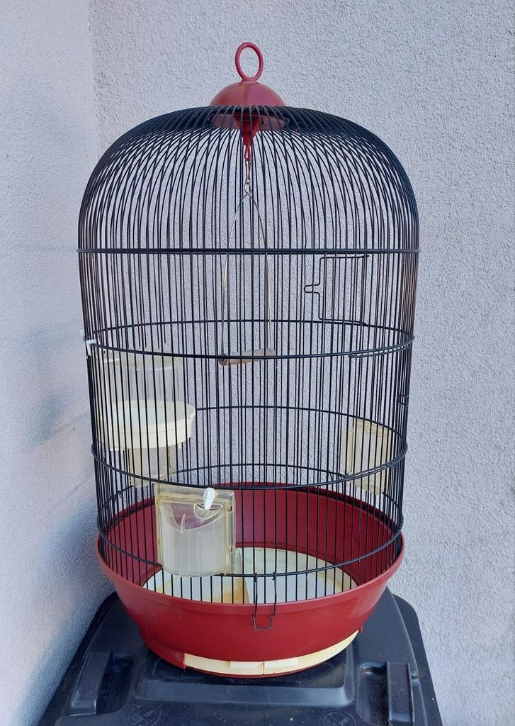 Cage à oiseaux.... canaris, Enlèvement, Utilisé, Cage à oiseaux