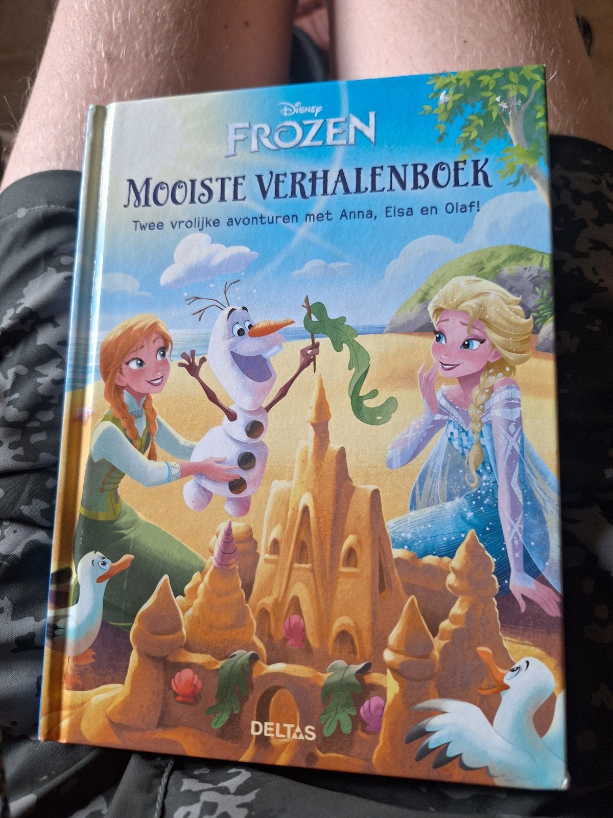 Frozen boek, Ophalen of Verzenden