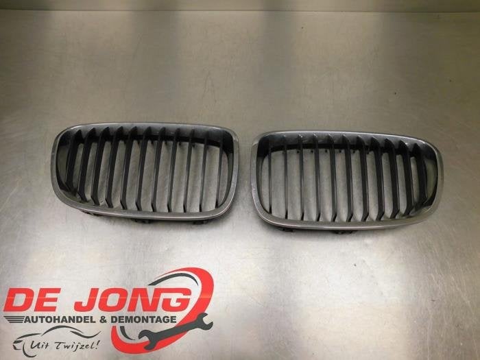 Calandre d'un BMW 1-Serie, Autos : Pièces & Accessoires, -, 3 mois de garantie, Utilisé, -