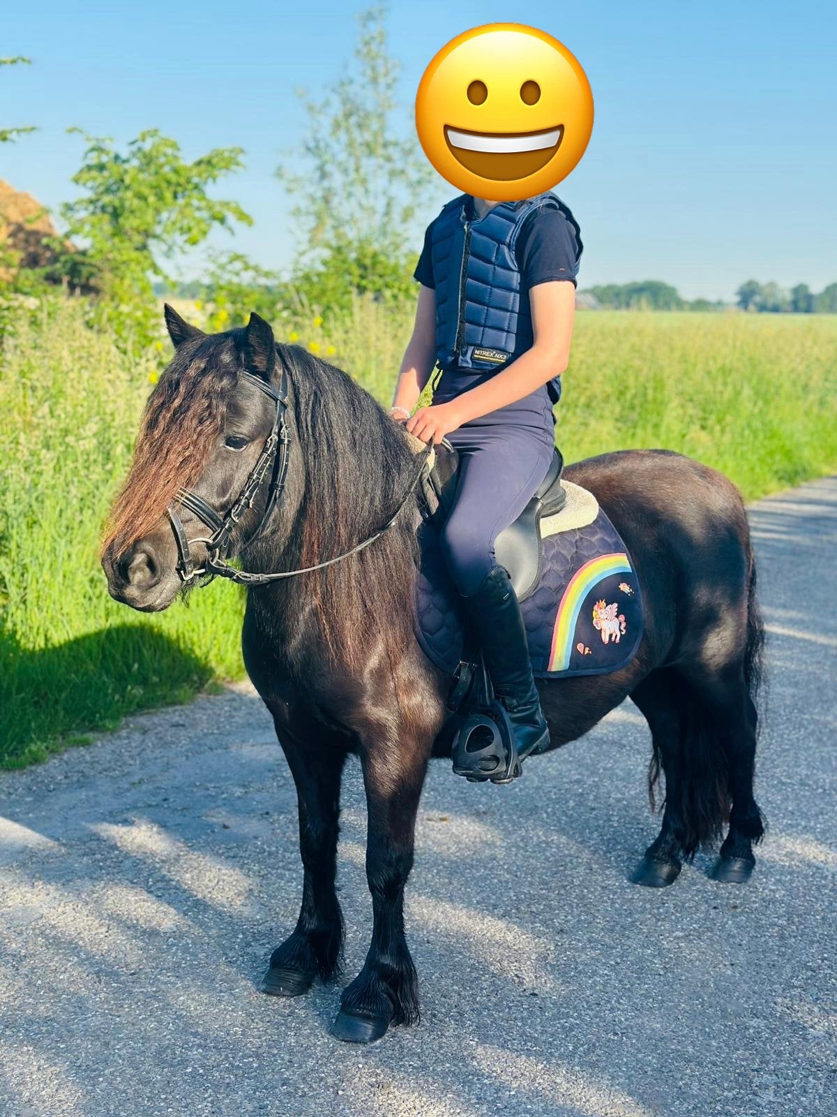 Prachtige bekroonde zwarte shetlandmerrie, Dieren en Toebehoren, Pony's, Merrie, A pony (tot 1.17m), 3 tot 6 jaar, Met stamboom