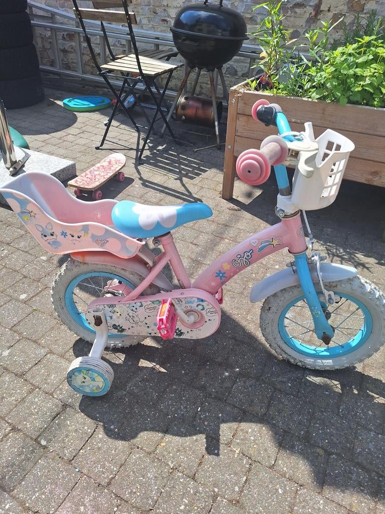 Fietsje met zijwieltjes, Enlèvement