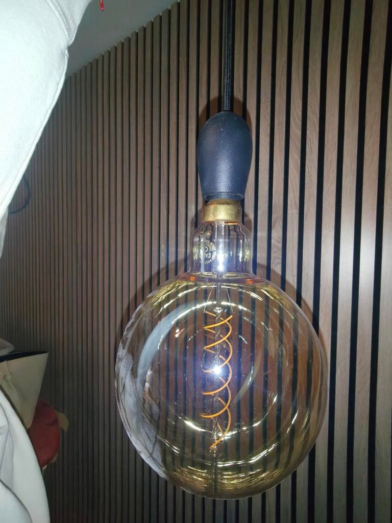Industriële hanglamp met XL filament lamp | 155 cm kabel, Huis en Inrichting, Lampen | Hanglampen, Ophalen