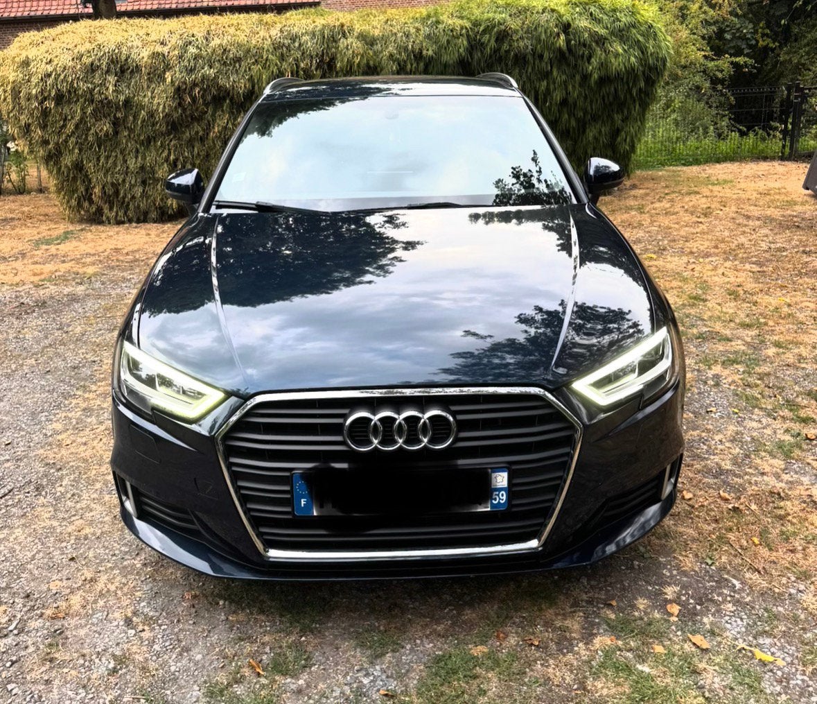 Audi A3 Sportback 2019, Autos, Achat, Bleu, 5 portes, Automatique
