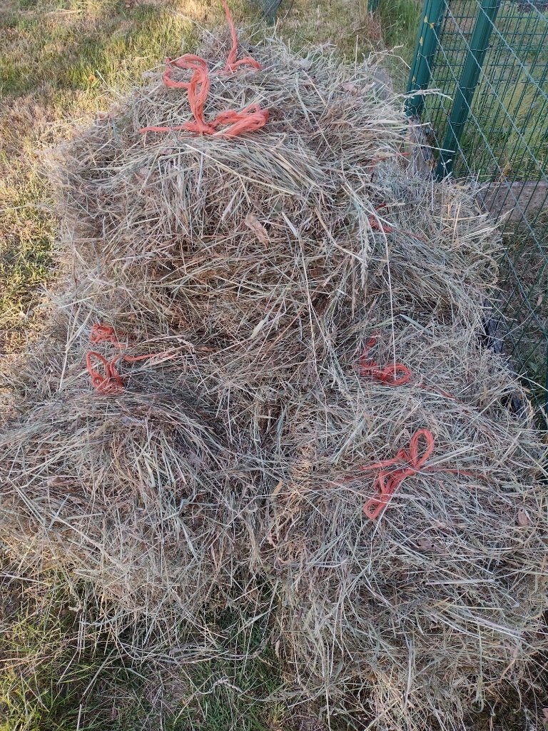 baaltjes lente weide hooi - laatste kans, Enlèvement, Autres espèces