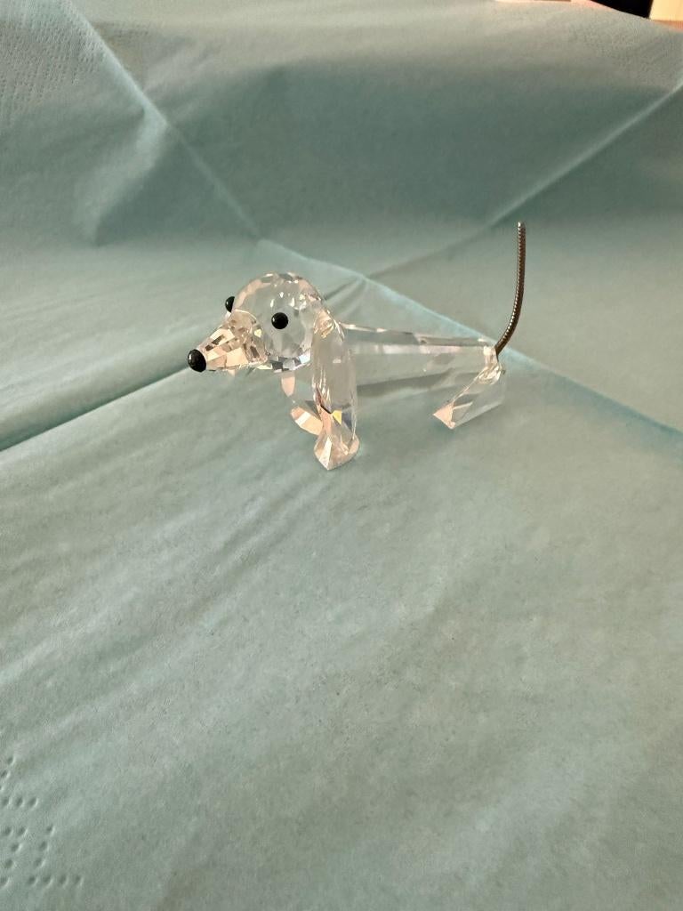 Teckel Swarovski, Verzamelen, Ophalen of Verzenden, Nieuw, Figuurtje