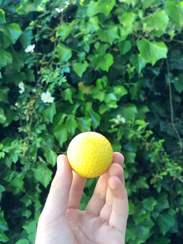 Golfballen, Sport en Fitness, Golf, Ophalen, Gebruikt, Bal(len), Overige merken