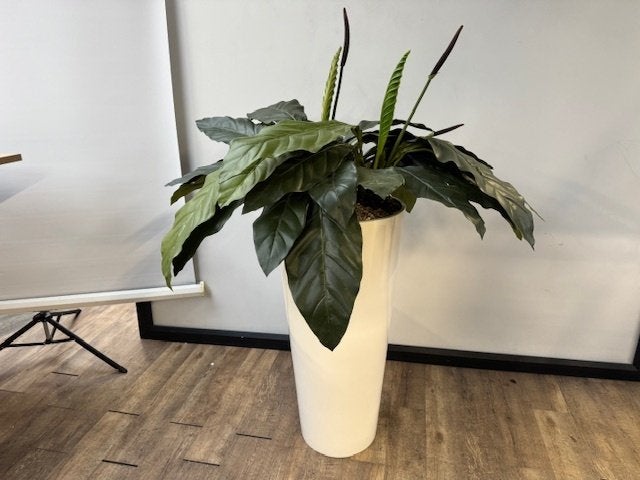 Kunstplant + plantenbak wit, Ophalen, Kunstplant, Wit