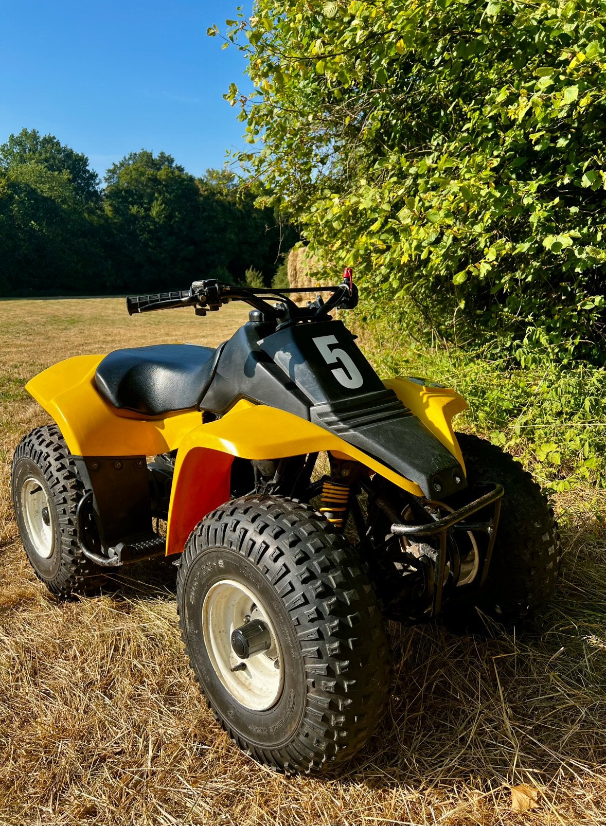 Quad Suzuki Lt80, Motos