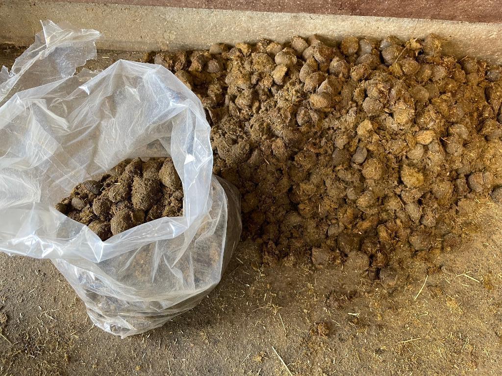 Gratis paardenmest - ook kleine hoeveelheden mogelijk, Enlèvement, Fumier