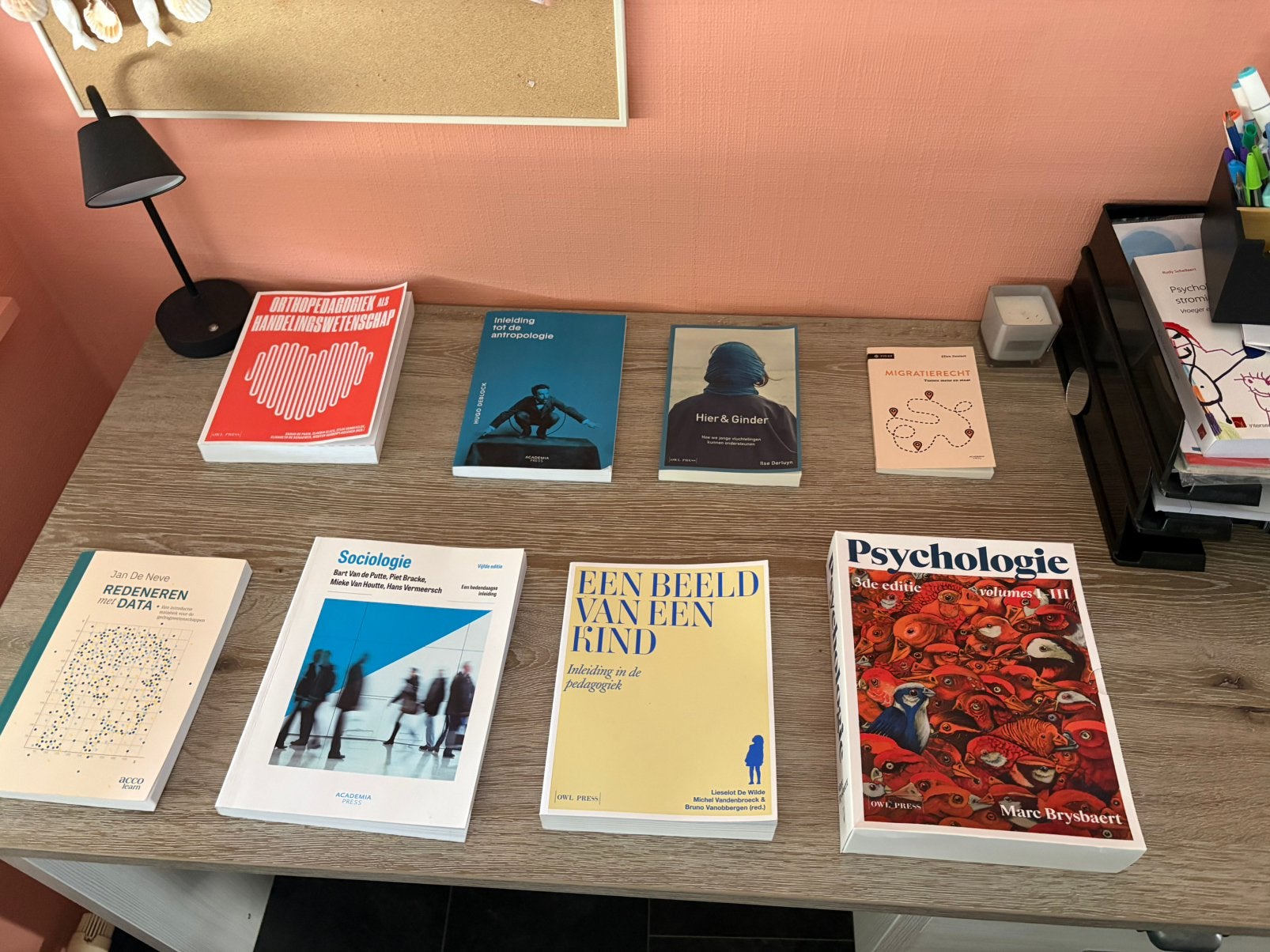 Boeken 1ste bachelor Pedagogische wetenschappen UGent, Boeken, Studieboeken en Cursussen, Nieuw, Ophalen of Verzenden
