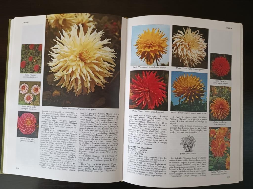 Encyclopedie van tuinplanten en bloemen, Ophalen, Zo goed als nieuw, Tuinieren en Tuinplanten, Collectif