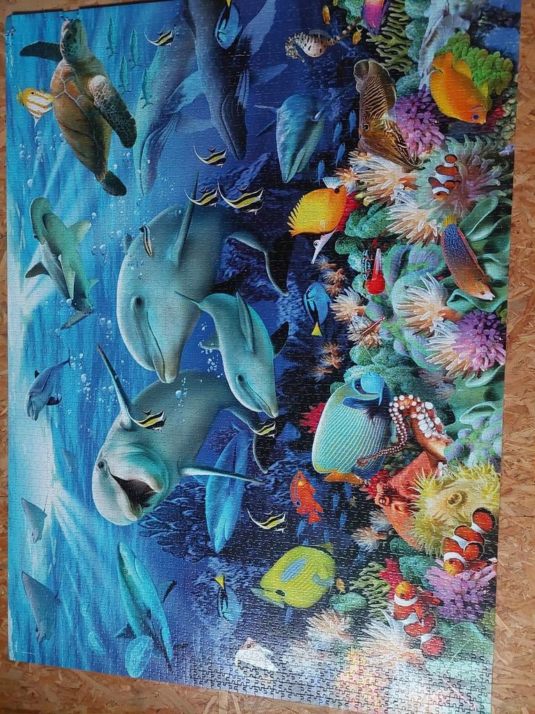 Legpuzzel 4000 stukjes, Ophalen
