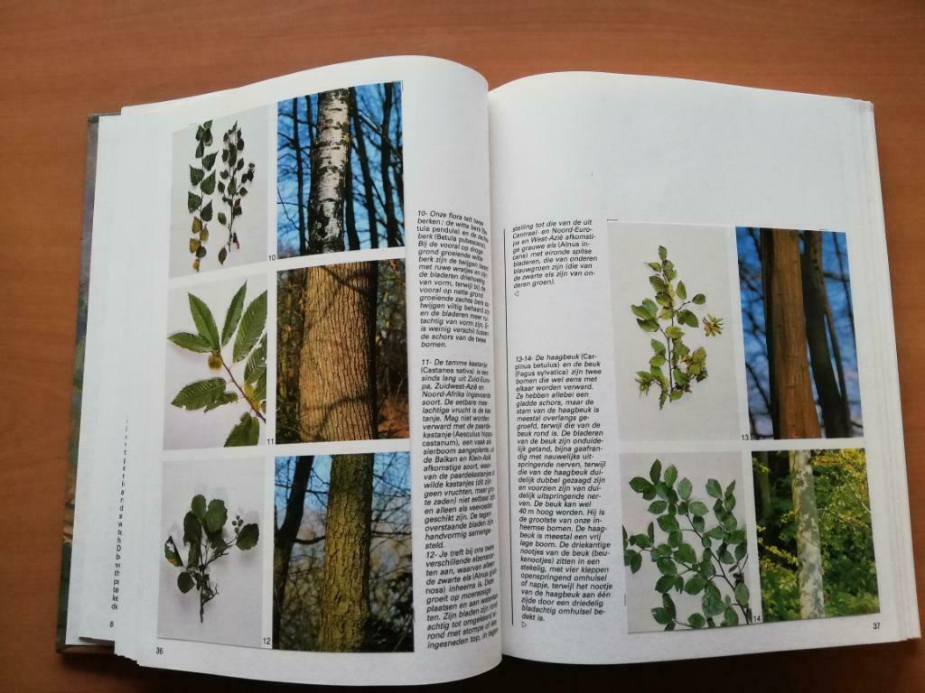 boek : het bos en de mens, Ophalen of Verzenden, Gelezen, Plaatjesalbum