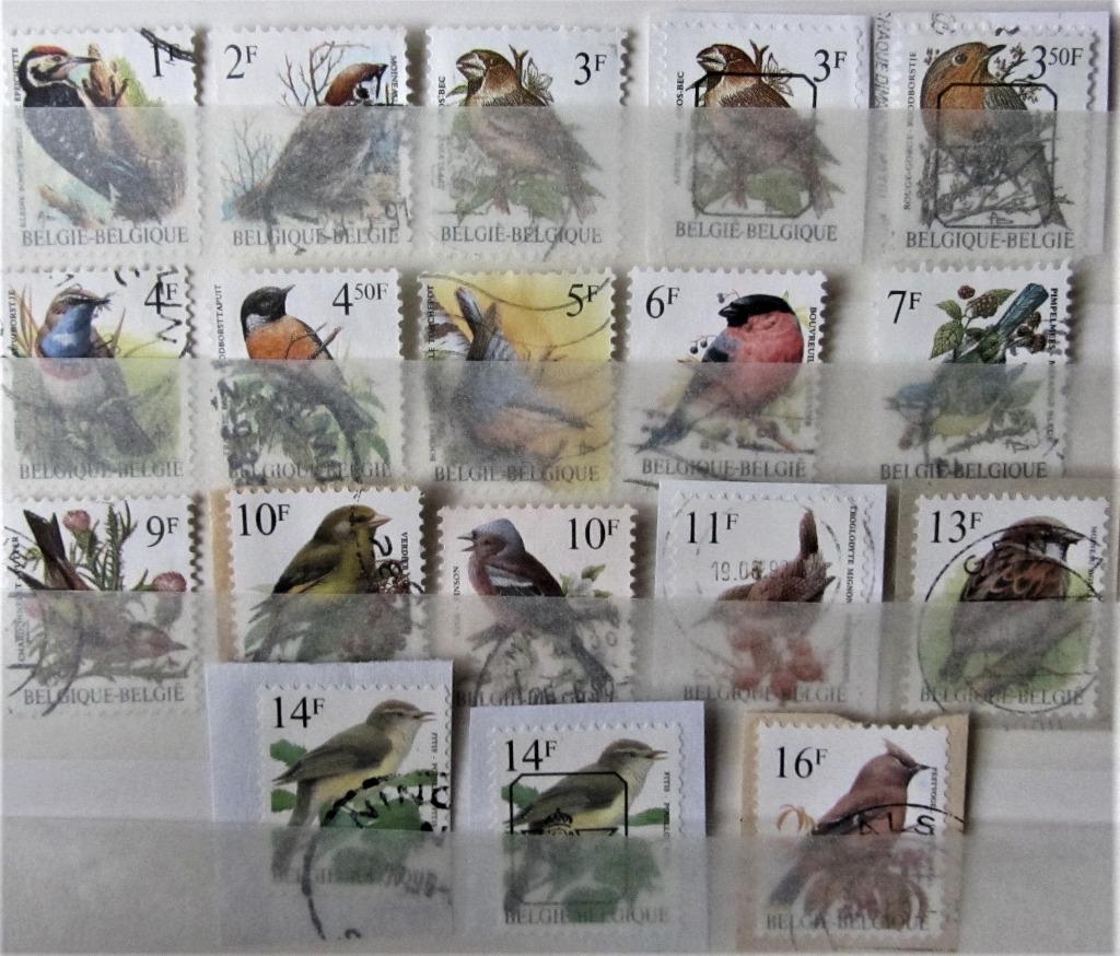 LOTJE POSTZEGELS- BELGIË- VOGELS, Enlèvement ou Envoi, Autre, Affranchi, Autre