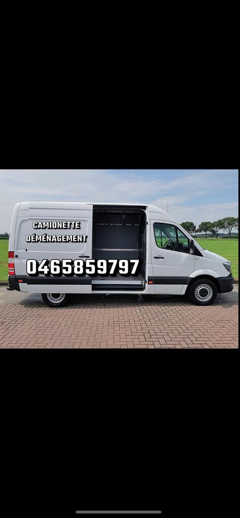 Busje met chauffeur