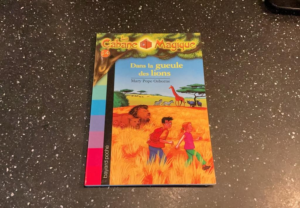 LA CABANE MAGIQUE., Livres, Enlèvement, Comme neuf