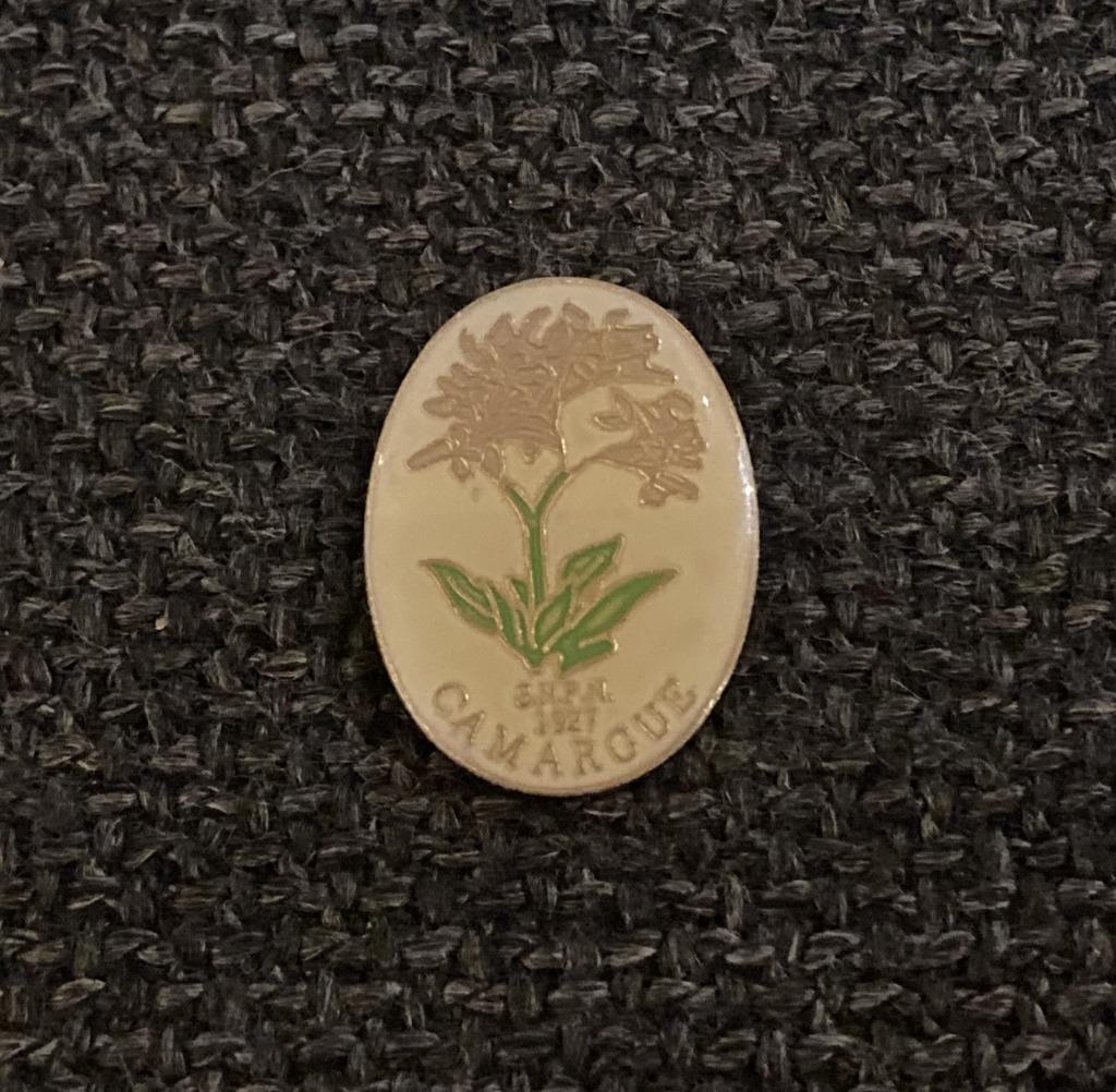 PIN - CAMARGUE - FRANCE - FRANKRIJK, Envoi, Utilisé, Ville ou Campagne, Insigne ou Pin's
