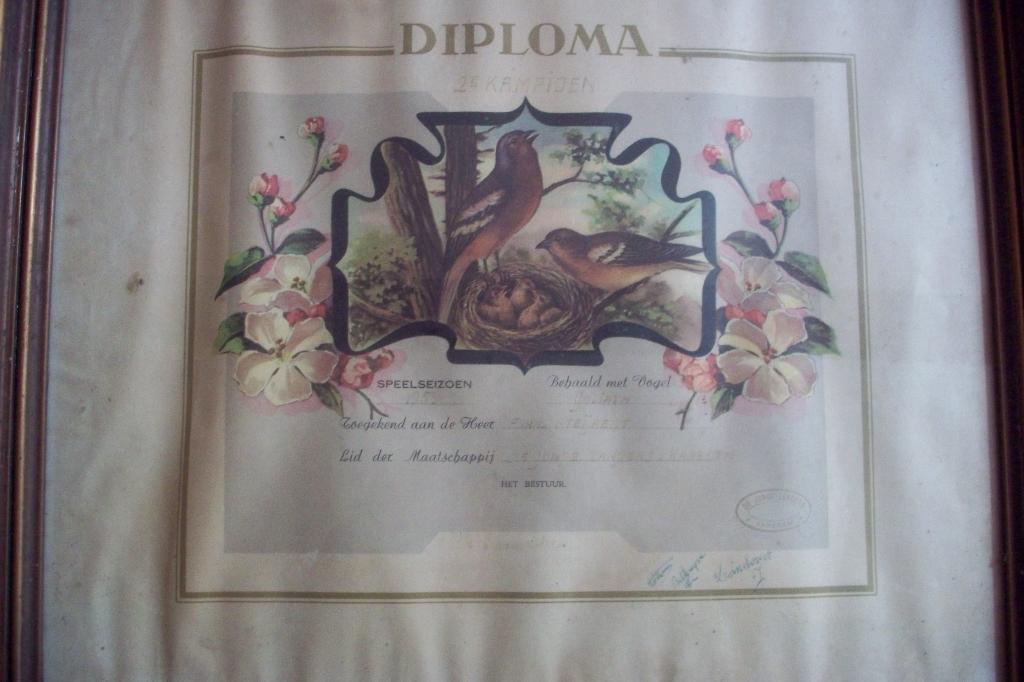 Vinkendiploma 1959, Ophalen, Gebruikt, Overige typen