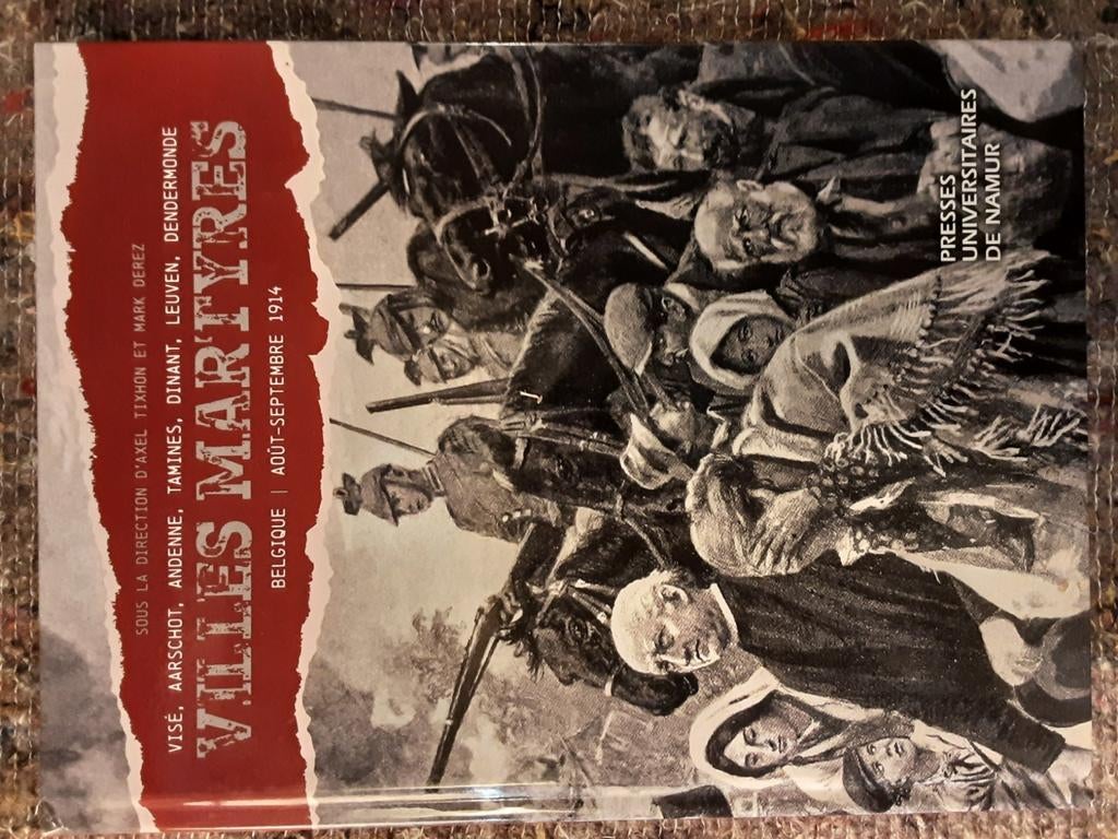 Livre  Villes martyres en Belgique août septembre 1914, Livres, Enlèvement, Comme neuf