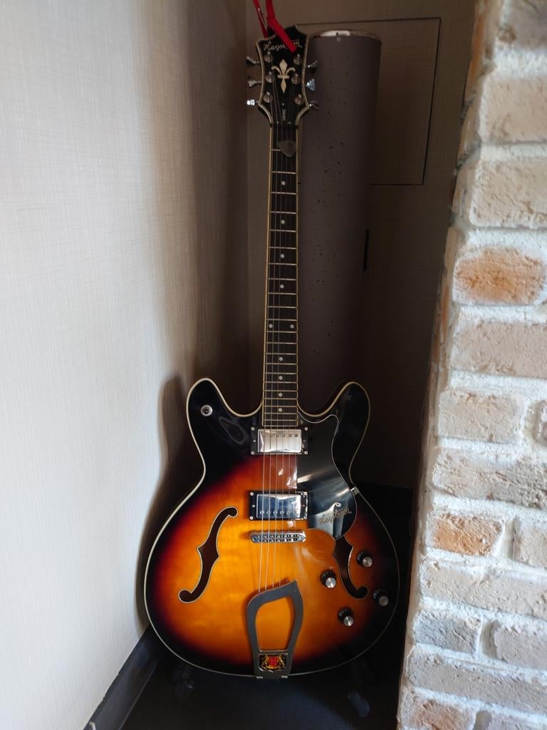Hagström Viking zgan, Enlèvement, Comme neuf